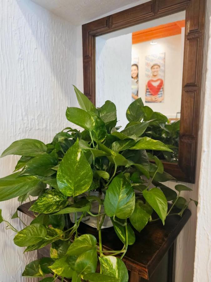 Arc House Granada Hotel Ngoại thất bức ảnh